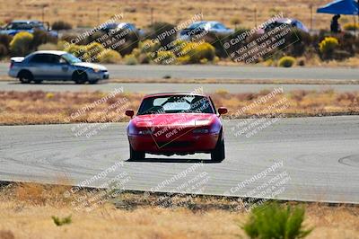 media/Nov-16-2024-Extreme Speed (Sat) [[6587d07cc4]]/Purple Group/Session 2 (Turns 3 and 5)/